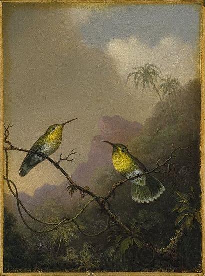Martin Johnson Heade Two Humming Birds Norge oil painting art